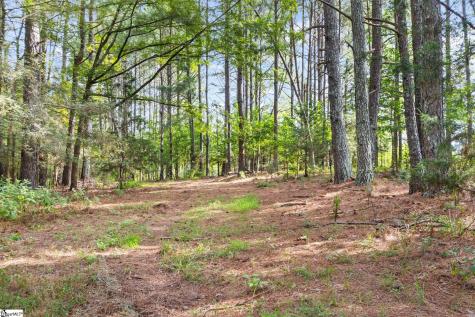 1496 Dixon Road Laurens SC 29360