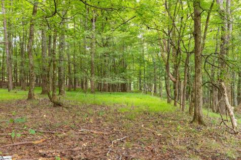 1496 Dixon Road Laurens SC 29360