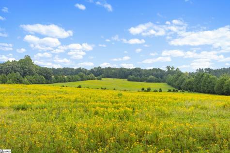 1496 Dixon Road Laurens SC 29360