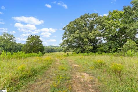 1496 Dixon Road Laurens SC 29360
