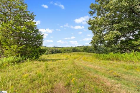 1496 Dixon Road Laurens SC 29360