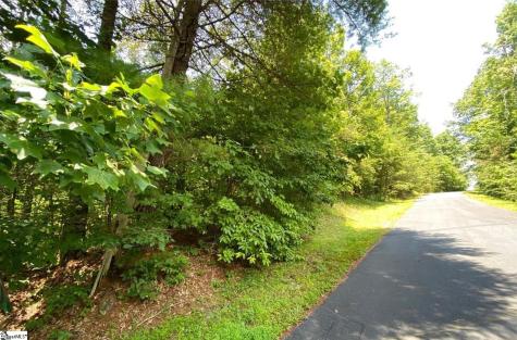 68 Stepp Ridge Court Hendersonville NC 28792