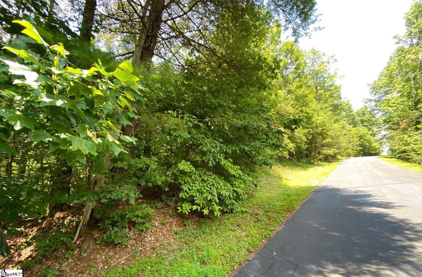 68 Stepp Ridge Court Hendersonville NC 28792