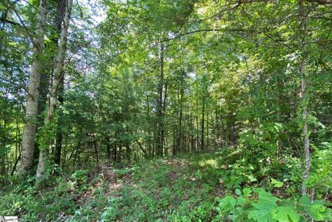 68 Stepp Ridge Court Hendersonville NC 28792