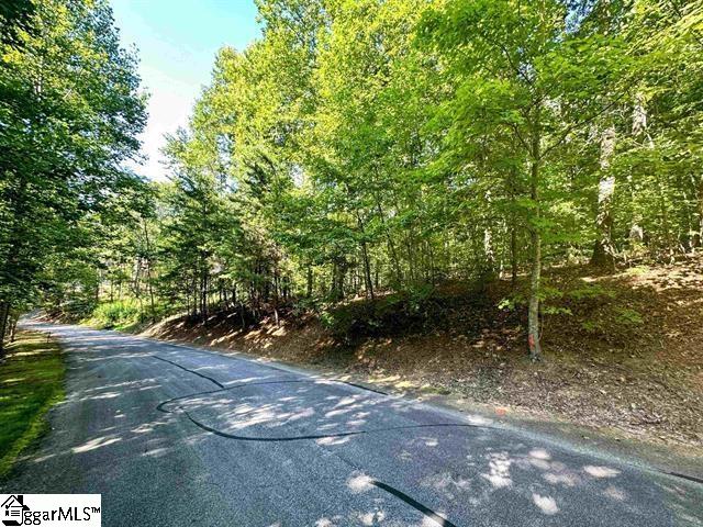 235 Luberon Lane Travelers Rest SC 29690