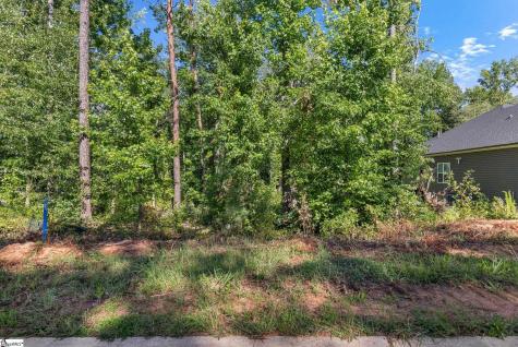 203 Wrenwood Court Piedmont SC 29673