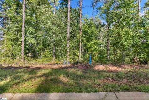 203 Wrenwood Court Piedmont SC 29673