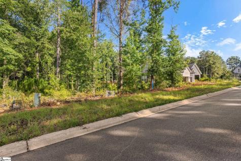 203 Wrenwood Court Piedmont SC 29673