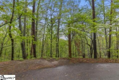19287 Patrol Club Road Greenville SC 29609