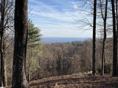 Lot 152 Goldenrod Way Landrum SC 29356