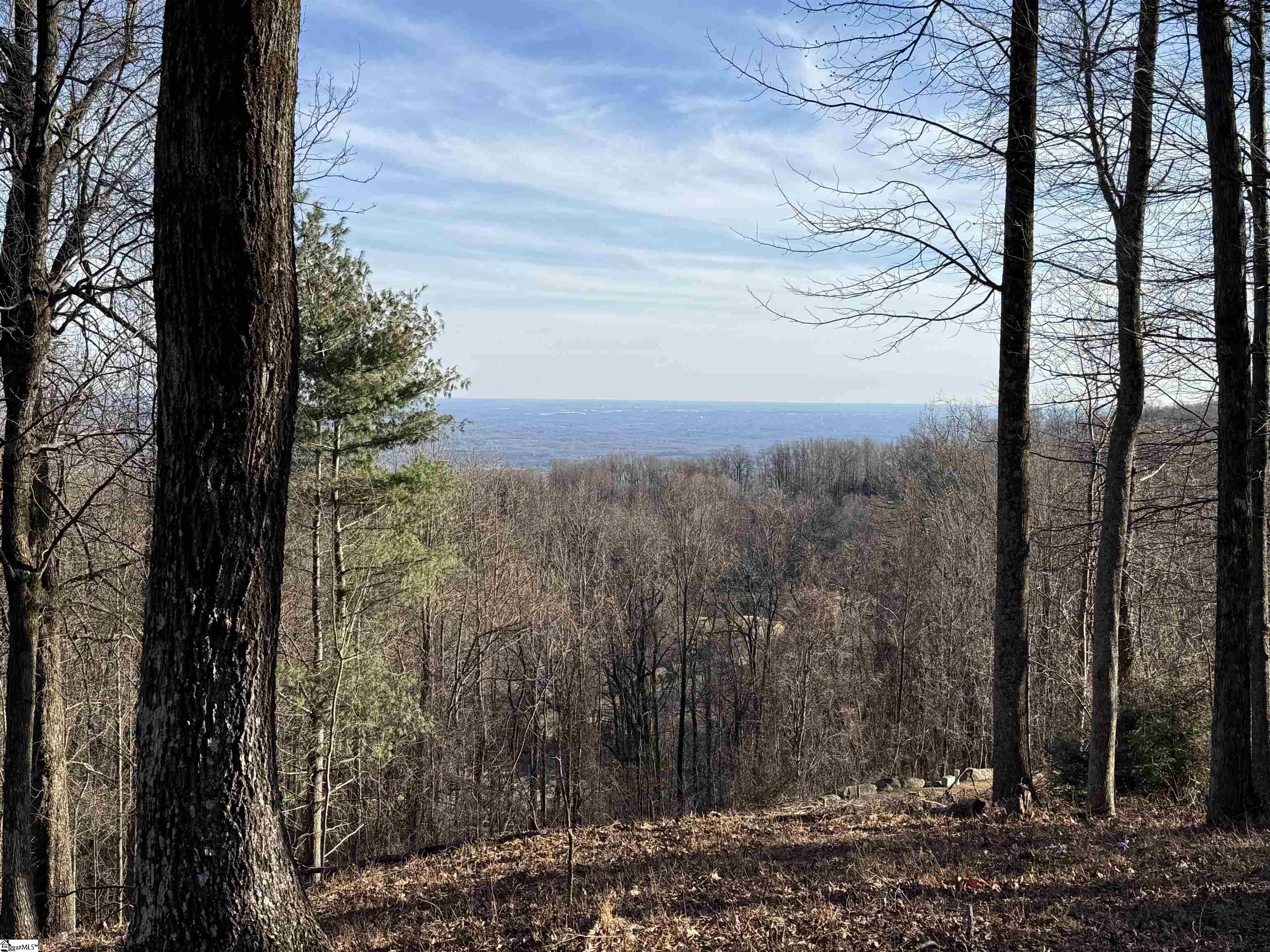 Lot 152 Goldenrod Way Landrum SC 29356