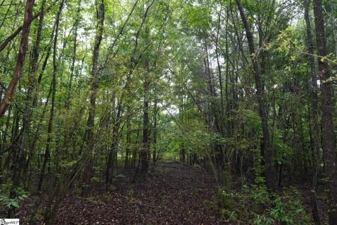 175 Stewart Lake Road Pelzer SC 29669