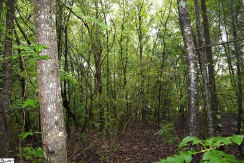175 Stewart Lake Road Pelzer SC 29669