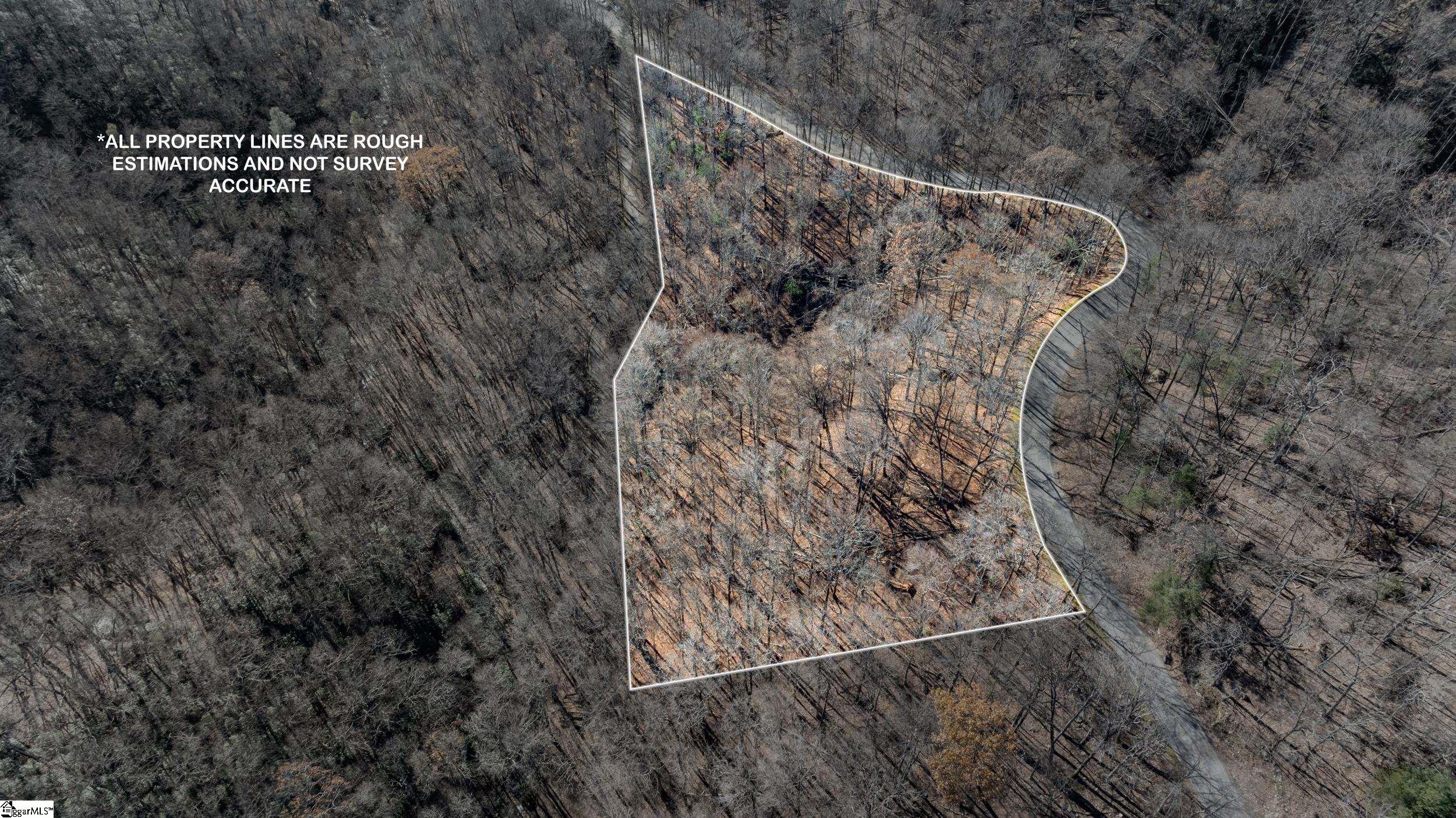00 Panther Park Trail Travelers Rest SC 29690