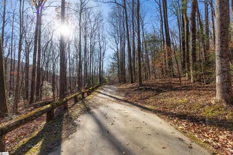 00 Panther Park Trail Travelers Rest SC 29690