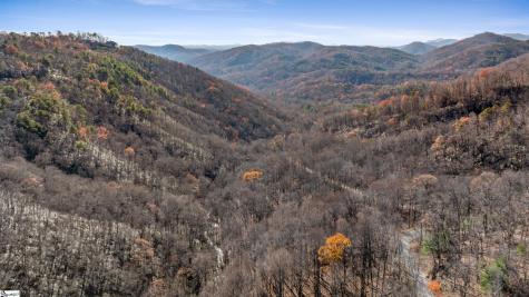 00 Panther Park Trail Travelers Rest SC 29690