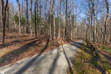 00 Panther Park Trail Travelers Rest SC 29690