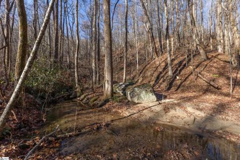 00 Panther Park Trail Travelers Rest SC 29690