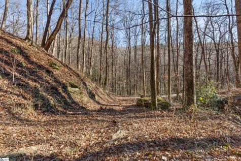 00 Panther Park Trail Travelers Rest SC 29690