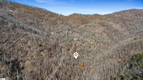 00 Panther Park Trail Travelers Rest SC 29690