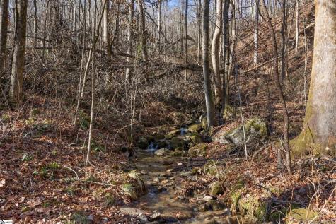 00 Panther Park Trail Travelers Rest SC 29690