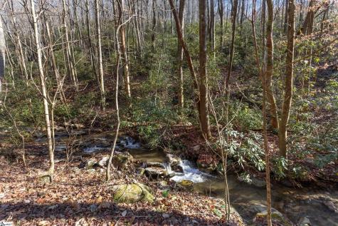 00 Panther Park Trail Travelers Rest SC 29690
