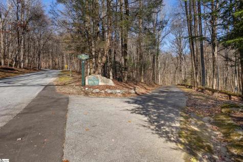 00 Panther Park Trail Travelers Rest SC 29690