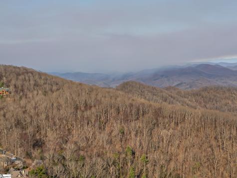 2 Park Green Way Landrum SC 29356
