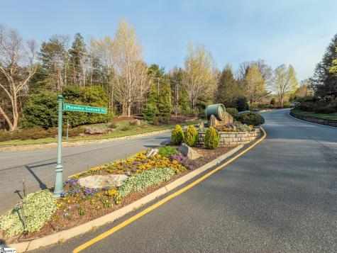 2 Park Green Way Landrum SC 29356