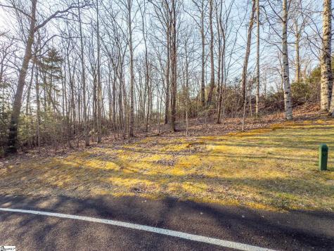 2 Park Green Way Landrum SC 29356