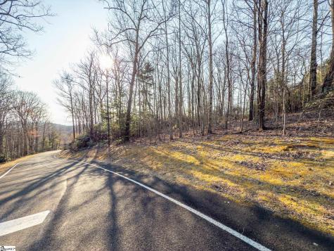 2 Park Green Way Landrum SC 29356