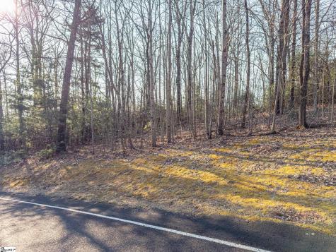 2 Park Green Way Landrum SC 29356