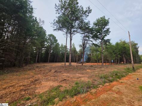 0 Owens Drive Laurens FL 29360