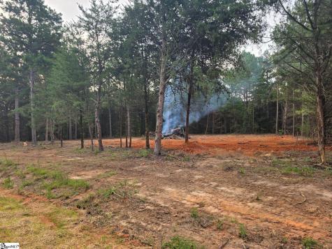 0 Owens Drive Laurens FL 29360