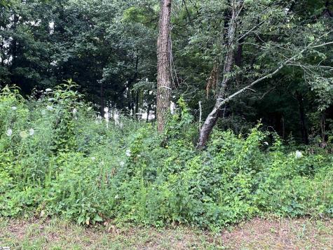 280 Foggy Cut Lane Landrum SC 29356
