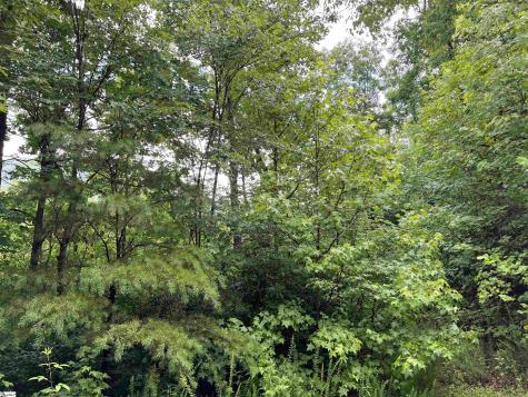 280 Foggy Cut Lane Landrum SC 29356