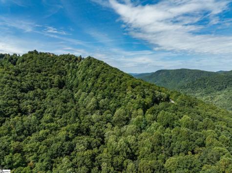 0 Panther Mountain Road Zirconia NC 28790
