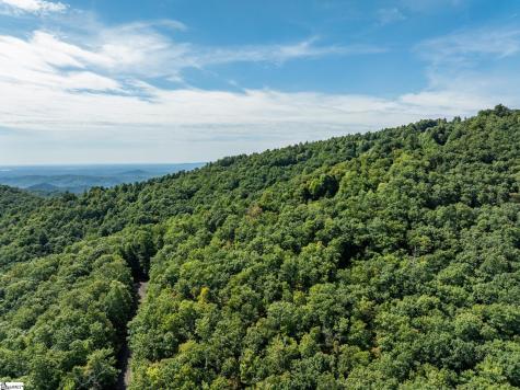 0 Panther Mountain Road Zirconia NC 28790