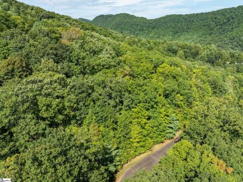 0 Panther Mountain Road Zirconia NC 28790