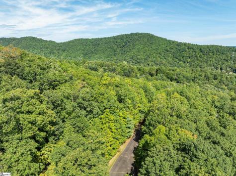 0 Panther Mountain Road Zirconia NC 28790