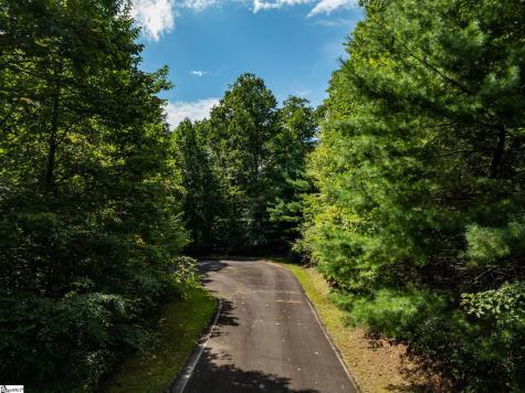 0 Panther Mountain Road Zirconia NC 28790