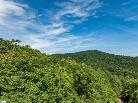 0 Panther Mountain Road Zirconia NC 28790