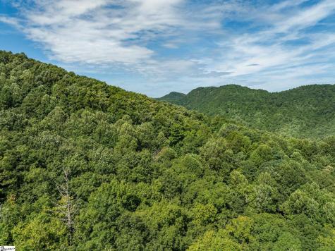 0 Panther Mountain Road Zirconia NC 28790