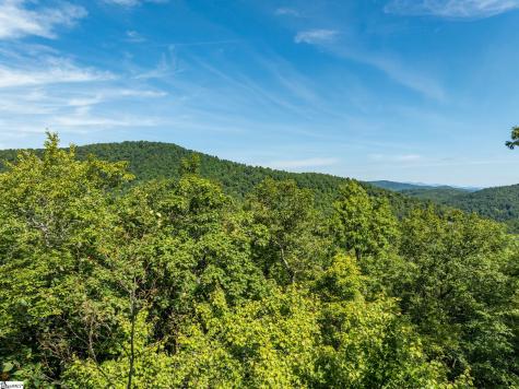 0 Panther Mountain Road Zirconia NC 28790