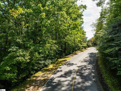 0 Panther Mountain Road Zirconia NC 28790