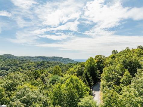 0 Panther Mountain Road Zirconia NC 28790