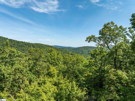 0 Panther Mountain Road Zirconia NC 28790
