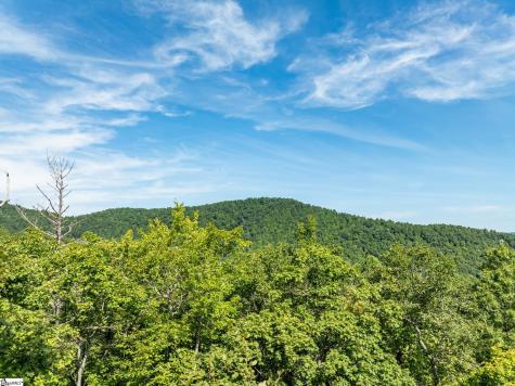 0 Panther Mountain Road Zirconia NC 28790