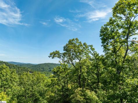 0 Panther Mountain Road Zirconia NC 28790