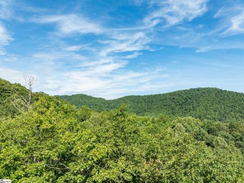 0 Panther Mountain Road Zirconia NC 28790